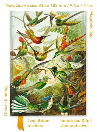 Ernst Haeckel: Hummingbirds (Foiled Quarto Journal)