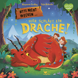 Bitte nicht wecken ... Hier schl&auml;ft ein Drache! - Rhiannon Findlay