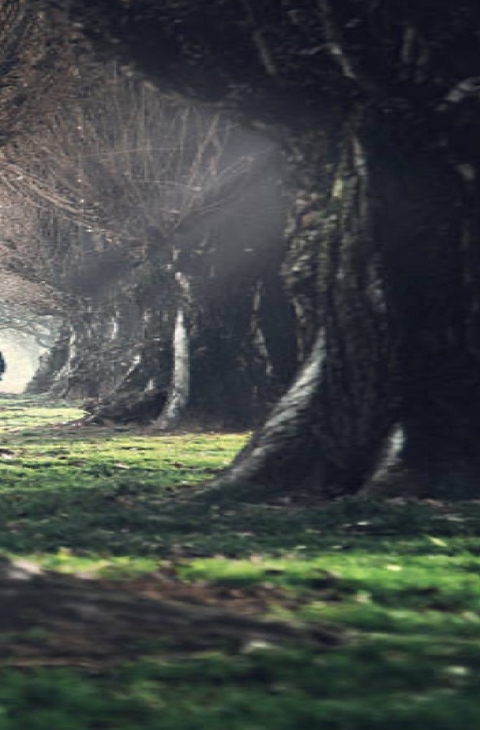 Wenn Liebe ,Mord , Leidenschaft und L&uuml;gen auf dramatischer Weise miteinander verkn&uuml;pft werden. - Lucia G