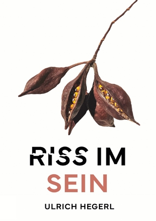 Riss im Sein