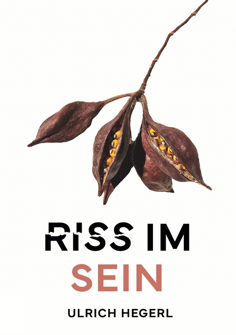 Riss im Sein - Ulrich Hegerl
