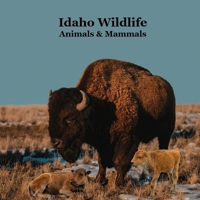 Idaho Animals and Mammals Kids Wildlife Book - Kinsey Marie, Billy Grinslott