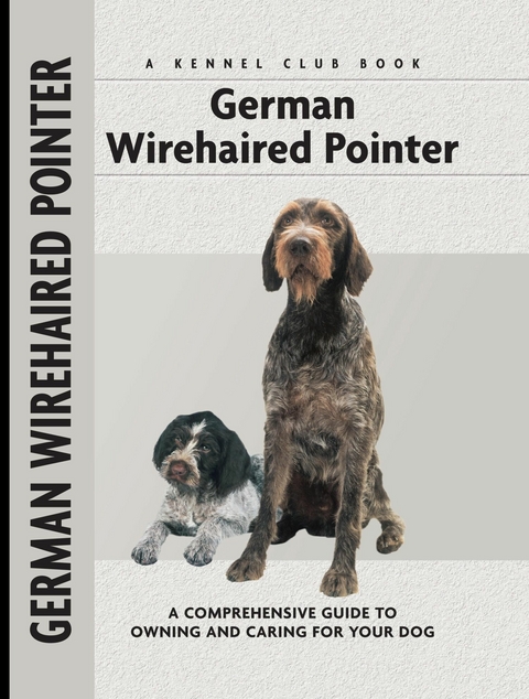 German Wirehaired Pointer - Ute Wand