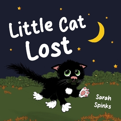 Little Cat Lost - Sarah Spinks