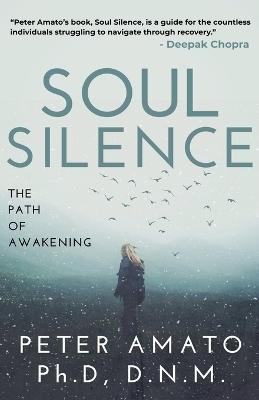 Soul Silence - Peter Amato Dnm