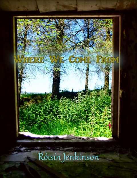 Where We Come From -  Roisin Jenkinson