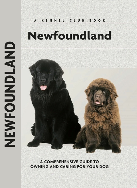 Newfoundland - Angela Barlowe