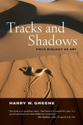 Tracks and Shadows