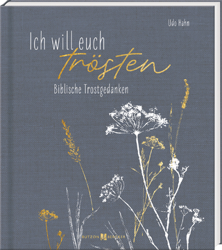 Ich will euch trösten