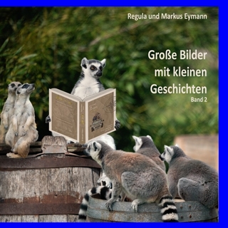 Große Bilder mit kleinen Geschichten / Grosse Bilder - mit kleinen Geschichten - Band 2