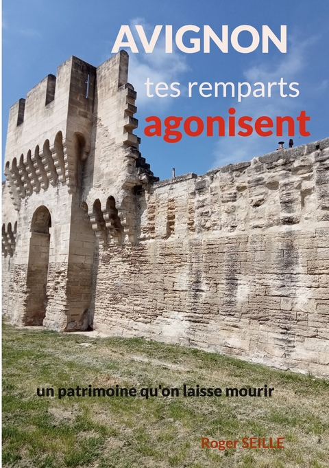 Avignon, tes remparts agonisent - Roger Seille
