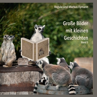 Große Bilder mit kleinen Geschichten / Grosse Bilder - mit kleinen Geschichten - Band 3