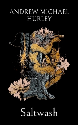 Saltwash - Andrew Michael Hurley