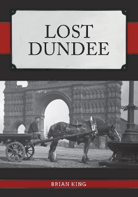 Lost Dundee - Brian King