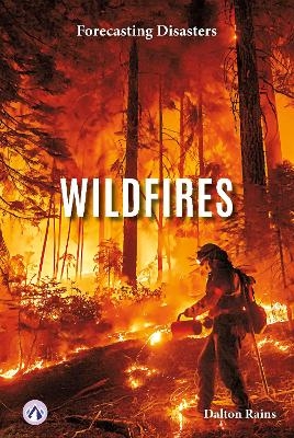 Wildfires - Dalton Rains