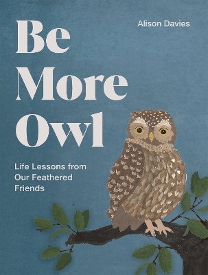 Be More Owl - Alison Davies