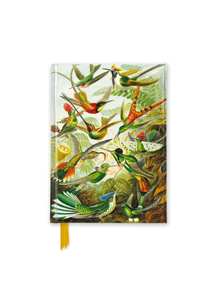 Ernst Haeckel: Hummingbirds (Foiled Pocket Journal)