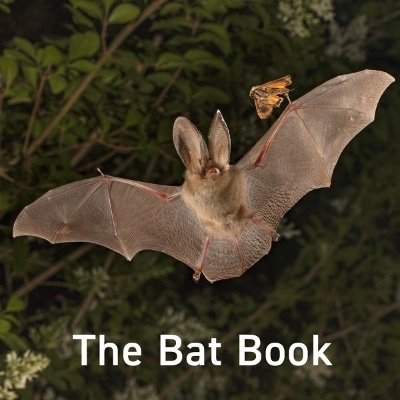 The Bat Book - Hugh Warwick