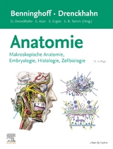 Anatomie - Asan, Esther; Drenckhahn, Detlev; Ergün, Süleyman; Tamm, Ernst R.