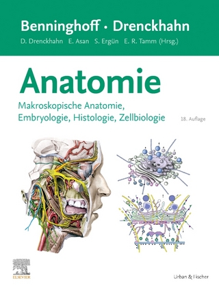 Anatomie
