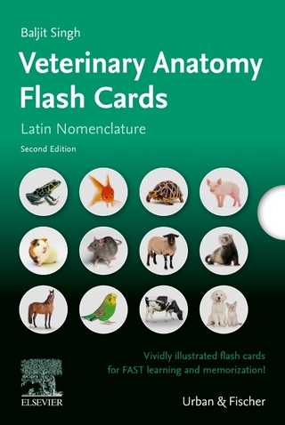 Lernkarten Veterinäranatomie / Veterinary Anatomy Flash Cards