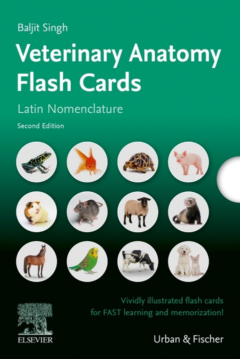 Lernkarten Veterinäranatomie / Veterinary Anatomy Flash Cards - Baljit Singh
