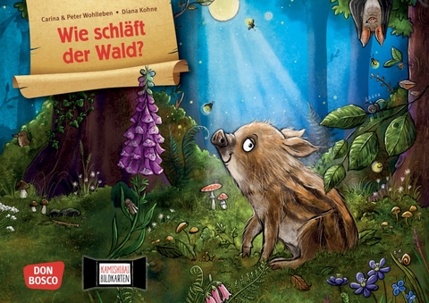 Wie schl&auml;ft der Wald? Kamishibai Bildkartenset - Carina Wohlleben, Peter Wohlleben