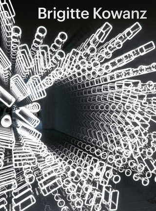 Brigitte Kowanz - Light is what we see