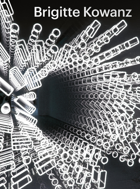 Brigitte Kowanz - Light is what we see - 