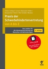 Praxis der Schwerbehindertenvertretung von A bis Z - Feldes, Werner; Klabunde, Rolf; Gilsbach, Anna