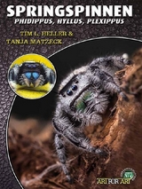Springspinnen - Tim L. Heller, Tanja Matzeck