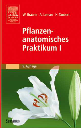 Pflanzenanatomisches Praktikum I