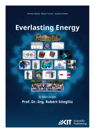 Everlasting Energy - In Memoriam Prof. Dr.-Ing. Robert Stieglitz