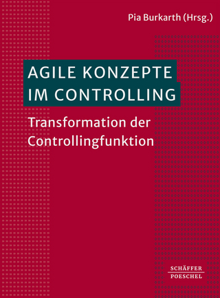 Agile Konzepte im Controlling