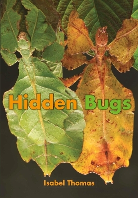 Hidden Bugs - Isabel Thomas