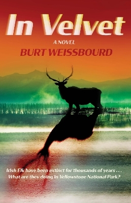 In Velvet - Burt Weissbourd