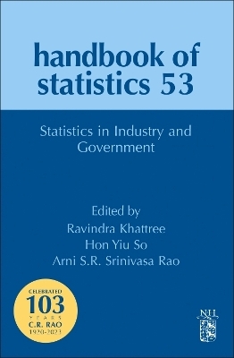 Statistics in Industry and Government