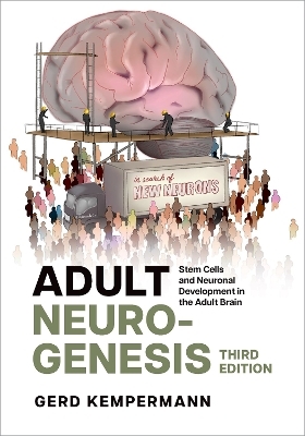 Adult Neurogenesis