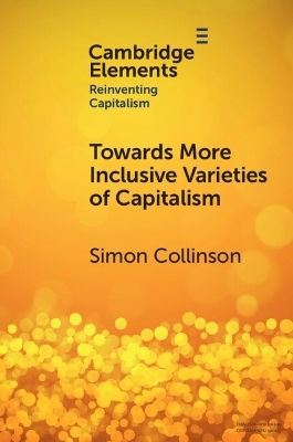 Towards More Inclusive Varieties of Capitalism