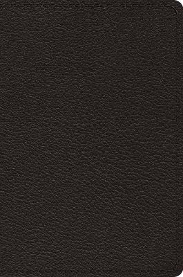 ESV Preaching Bible, Verse-by-Verse Edition