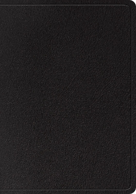 ESV Large Print Wide Margin Bible