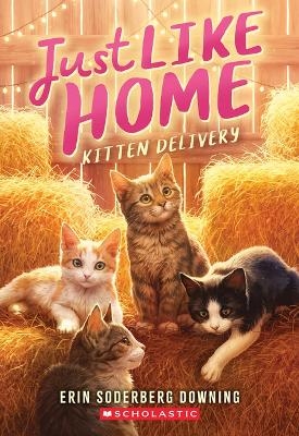 Kitten Delivery (Just Like Home, Book Two) - Erin Soderberg Downing