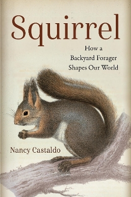 Squirrel - Nancy Castaldo