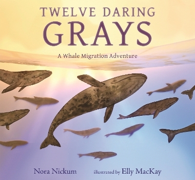 Twelve Daring Grays: A Whale Migration Adventure - Nora Nickum
