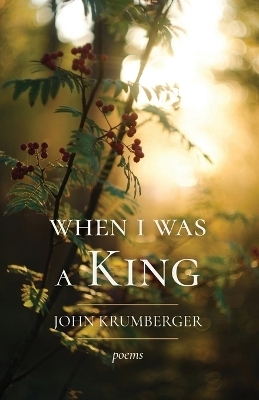 When I Was a King - John Krumberger