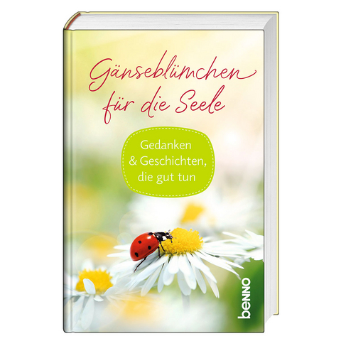 Gänseblümchen für die Seele