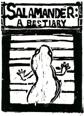 Salamander: A Bestiary