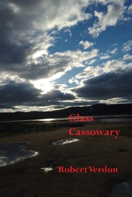 Glass Cassowary - Robert Verdon