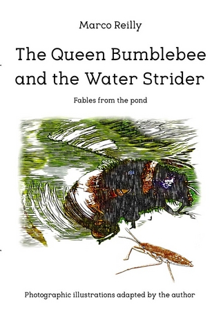 Fables from the pond / The Queen Bumblebee and the Water Strider