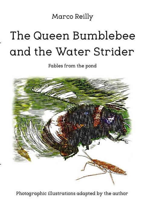 Fables from the pond / The Queen Bumblebee and the Water Strider - Marco Reilly